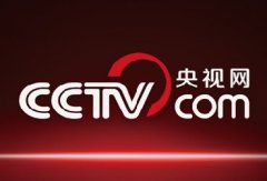 CCTV央視網：互聯(lián)網化